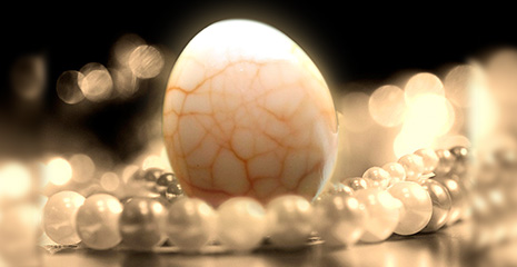 �Ӿ�ʢ�磬�ݳ�Ʒ��Ƭ����